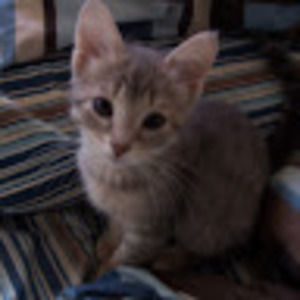 Meet your Posher, Jack